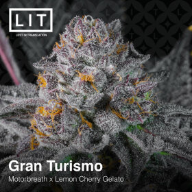 LIT Farms Gran Turismo - 6 feminized seeds