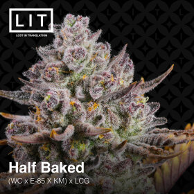 LIT Farms Half Baked - 6 feminized seeds