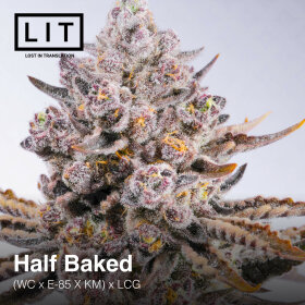 LIT Farms Half Baked - 6 feminized seeds