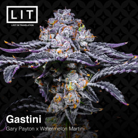 LIT Farms Gastini - 6 feminized seeds