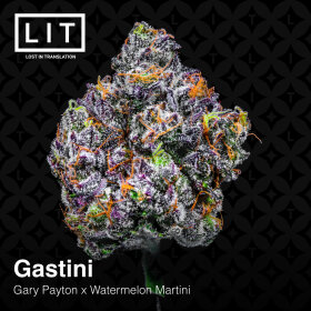 LIT Farms Gastini - 6 feminized seeds