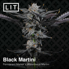 LIT Farms Black Martini - 6 feminized seeds