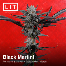 LIT Farms Black Martini - 6 feminized seeds