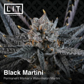 LIT Farms Black Martini - 6 feminisierte Samen