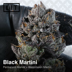 LIT Farms Black Martini - 6 feminisierte Samen