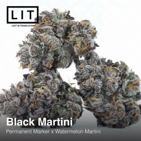 LIT Farms Black Martini - 6 feminisierte Samen