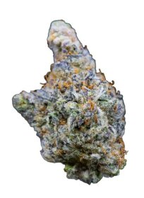 Growers Choice Mimosa Gusher Limited Edition 3+1 feminized seeds