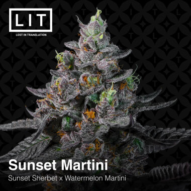 LIT Farms Sunset Martini - 6 feminisierte Samen