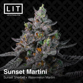 LIT Farms Sunset Martini - 6 feminized seeds