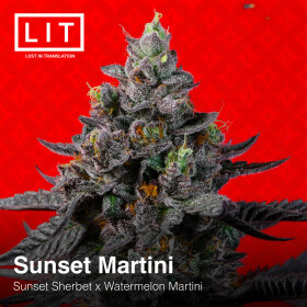 LIT Farms Sunset Martini - 6 feminisierte Samen