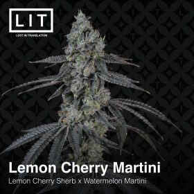 LIT Farms Lemon Cherry Martini - 6 feminized seeds