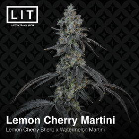 LIT Farms Lemon Cherry Martini - 6 feminisierte Samen