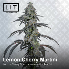 LIT Farms Lemon Cherry Martini - 6 feminisierte Samen