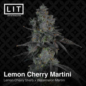 LIT Farms Lemon Cherry Martini - 6 feminisierte Samen