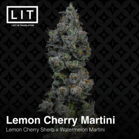 LIT Farms Lemon Cherry Martini - 6 feminisierte Samen