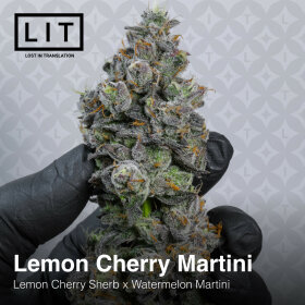 LIT Farms Lemon Cherry Martini - 6 feminisierte Samen