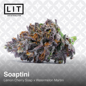 LIT Farms Soaptini - 6 feminisierte Samen