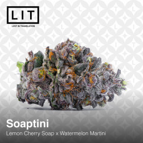 LIT Farms Soaptini - 6 feminisierte Samen