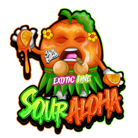 Pure Instinto Sour Aloha EXOTIC LINE - 3 feminisierte Samen