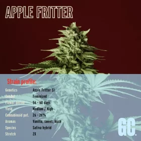 Grand CRU Apple Fritter - 3 feminisierte Samen