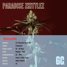 Grand CRU Paradise Zkittlez - 3 feminisierte Samen