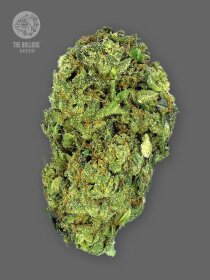 The Bulldog Seeds Sour Diesel REGULAR - 3 reguläre Samen