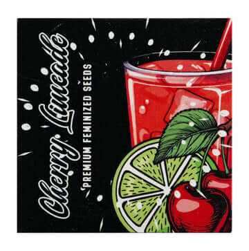 Doja Cherry Limeade - 6 feminisierte Samen