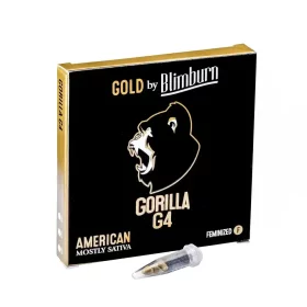 Blimburn Seeds Gorilla Glue 04  BULK- 100  feminisierte Samen