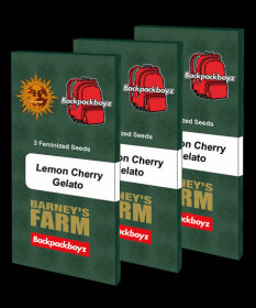 Barneys Farm Lemon Cherry Gelato - 5 feminisierte Samen