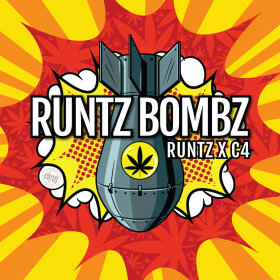 Elev8 Seeds Runtz Bombz - 3 feminisierte Samen