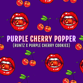 Elev8 Seeds Purple Cherry Popper - 3 feminisierte Samen