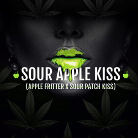 Elev8 Seeds Sour Apple Kiss - 3 feminisierte Samen