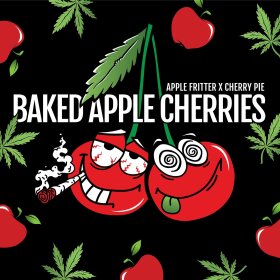 Elev8 Seeds Baked Apple Cherries - 3 feminisierte Samen