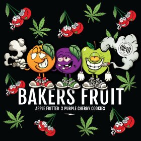 Elev8 Seeds Bakers Fruit - 3 feminisierte Samen