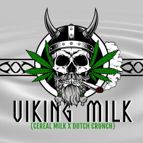 Elev8 Seeds Viking Milk - 3 feminisierte Samen