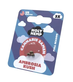 Holy Hemp Ambrosia Kush - 3 feminisierte Samen