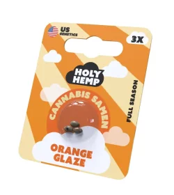 Holy Hemp Orange Glaze - 3 feminisierte Samen