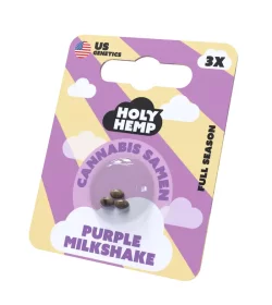 Holy Hemp Purple Milkshake - 3 feminisierte Samen