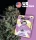 Holy Hemp Purple Milkshake - 3 feminisierte Samen