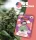 Holy Hemp Strawberry Guava Fast Flowering - 3 feminisierte Samen