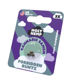 Holy Hemp Forbidden Runtz Fast Flowering - 3 feminisierte Samen