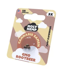 Holy Hemp GMO Rootbeer Fast Flowering - 3 feminisierte Samen