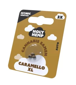 Holy Hemp Caramello XL AUTO - 3 Autoflowering Samen