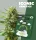 Holy Hemp Critical XXL AUTO - 3 Autoflowering Samen