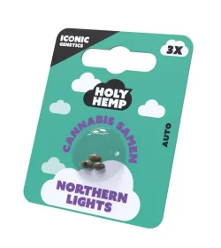 Holy Hemp Northern Lights AUTO - 3 Autoflowering Samen