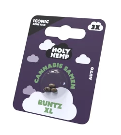 Holy Hemp Runtz XL AUTO - 3 Autoflowering Samen