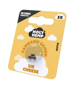 Holy Hemp UK Cheese AUTO - 3 Autoflowering Samen