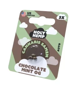 Holy Hemp  Chocolate Mint OG AUTO - 3 Autoflowering Samen