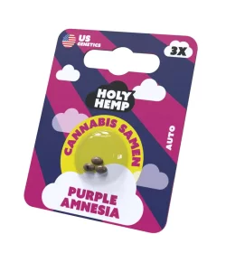 Holy Hemp Purple Amnesia AUTO - 3 Autoflowering Samen