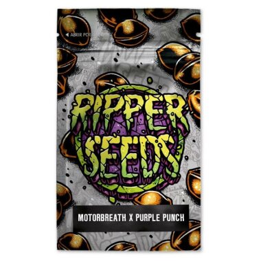 Ripper Seeds Motorbreath x Purple Punch Limited - 3...